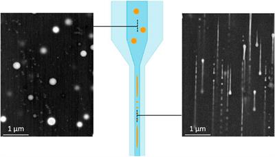 Toward Engineered Nanoparticle-Doped Optical Fibers for Sensor Applications